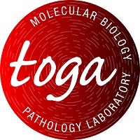Home toga labs logo 1